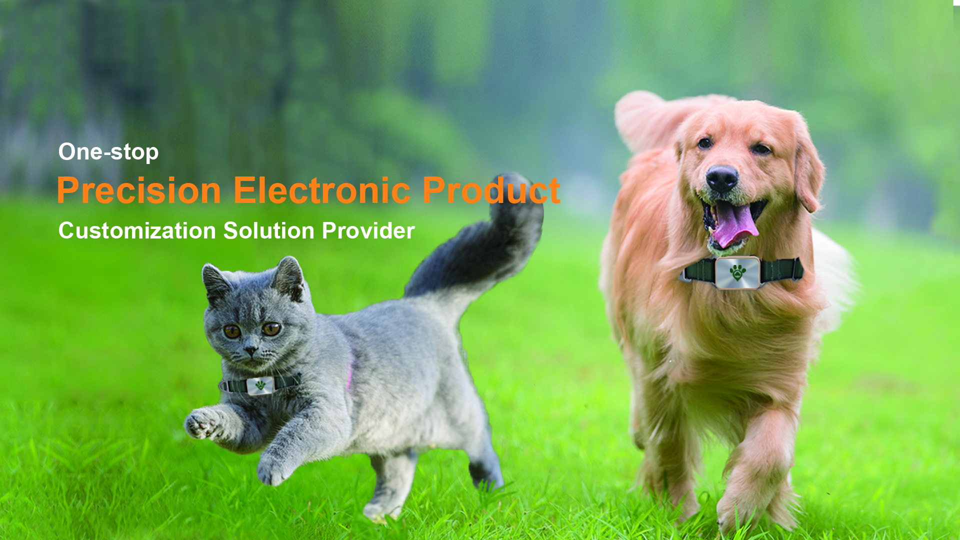 Cats and dogs wearing collars on the grass, smart collar product customization