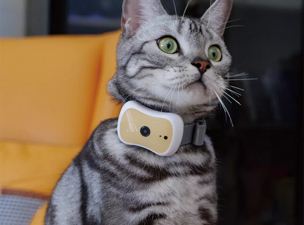 Smart pet collar