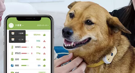 Smart pet collar