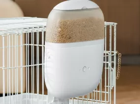 Connectivity & Safety