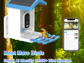AI Recognition