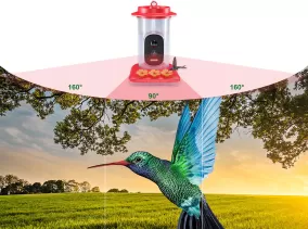 160 degree wide viewing angle