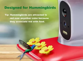 Flower Feeder 