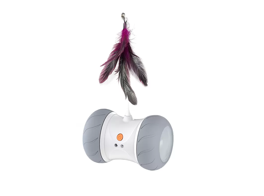 Electric pet toys