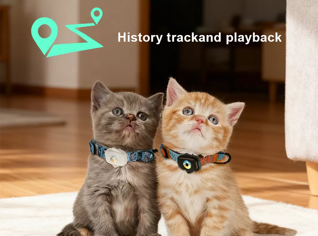 Pet Tracking Collar
