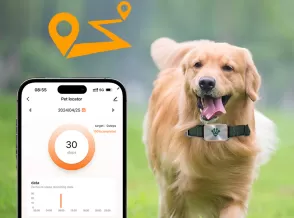 Pet Health Monitoring Collar